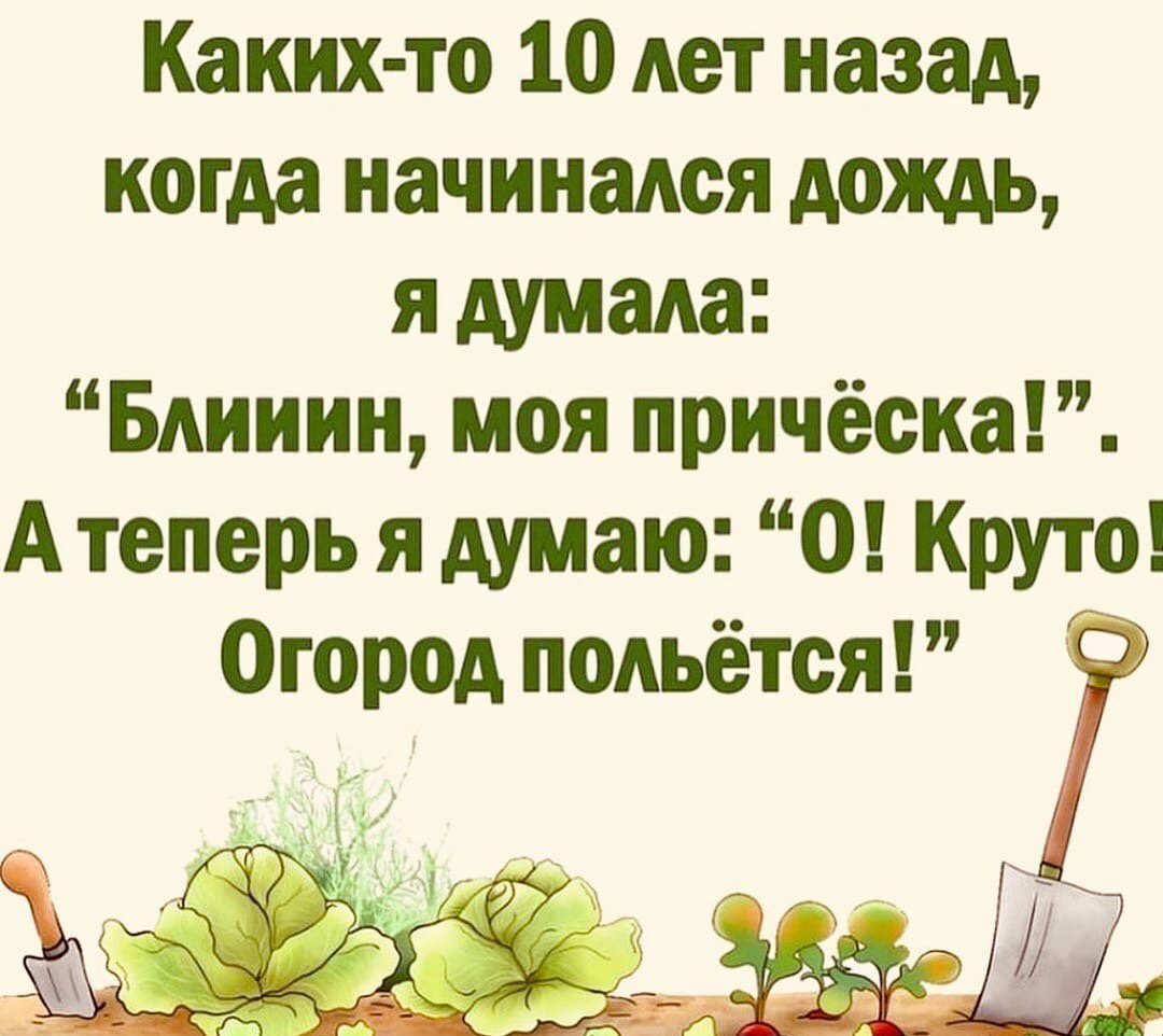Прикол про дождь