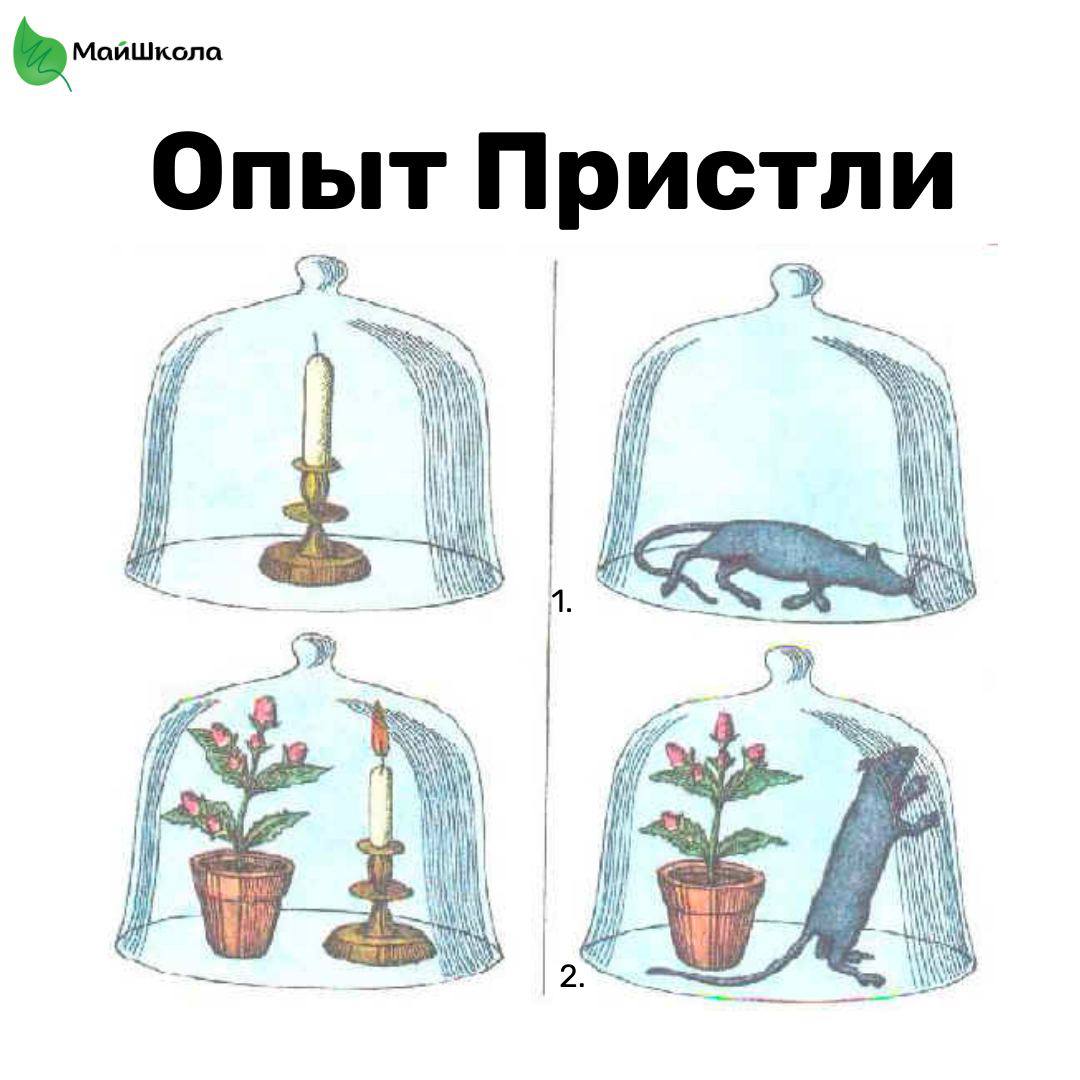 Замещающий опыт. Что доказывает опыт, изображённый на рисунке?. На рисунке изображен опыт. Что показывает опыт изображенный на рисунке. Опыт изображенный на рисунке демонстрирует.