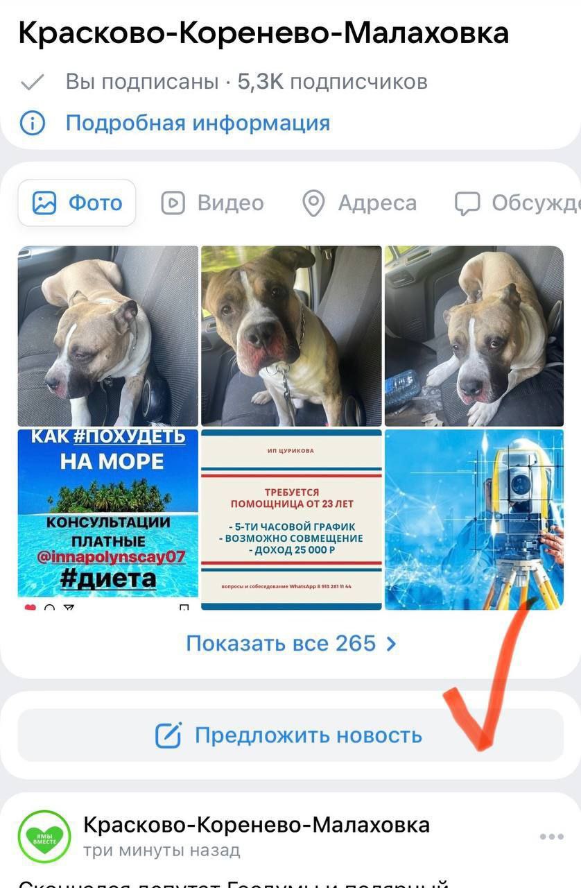 Telegram-канал 