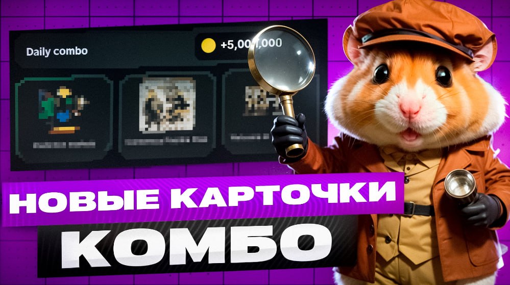 Хамстер комбат где комбо