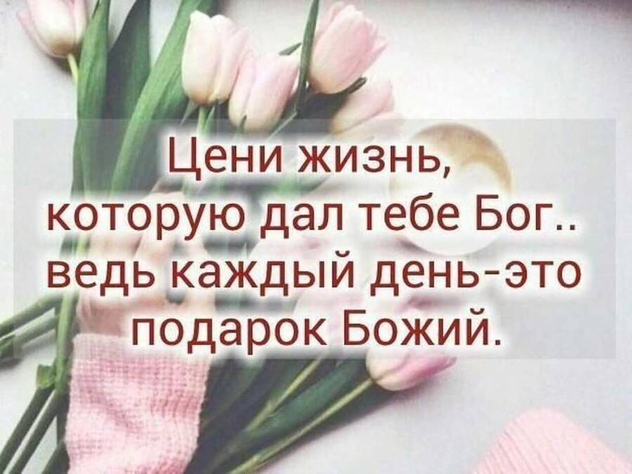Стремись к тому чтобы твоя жизнь имела смысл. Жизнь как день. Positive thinking. Живи так будто этот день последний. Высказывания о радости жизни.