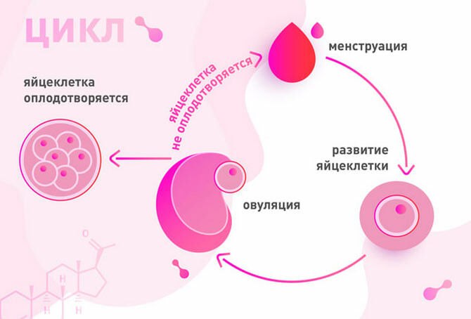 Почему Во Время Овуляции Хочется Секса Почему Во Время Овуляции Хочется Секса