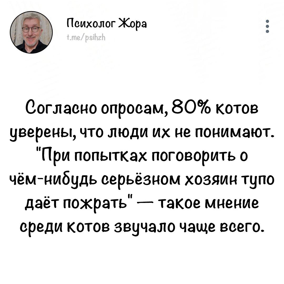 #юмор_жоры 