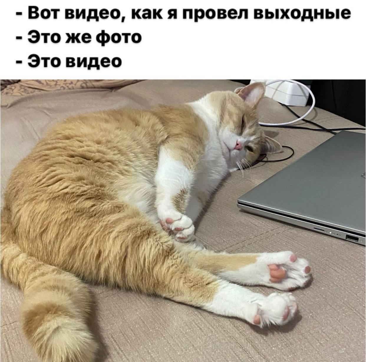 Как не выходной так новый парнишка в сетях Как не выходной так новый парнишка в сетях