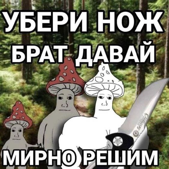 С друзьями пьешь не трожь