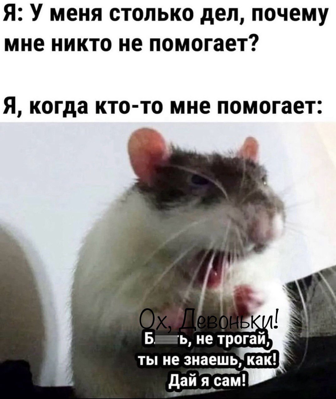 Три крысы мем