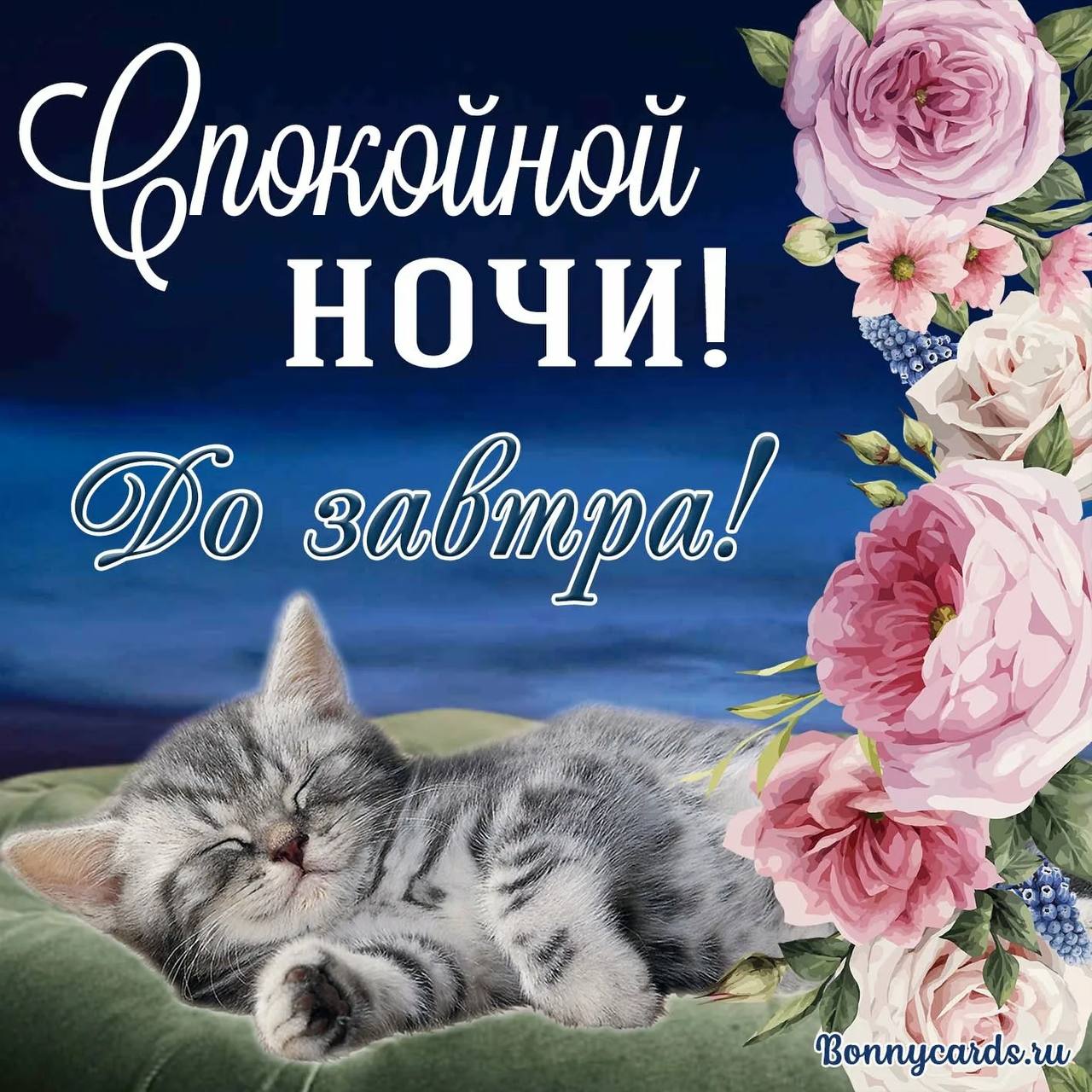 Новые открытки спокойной ночи