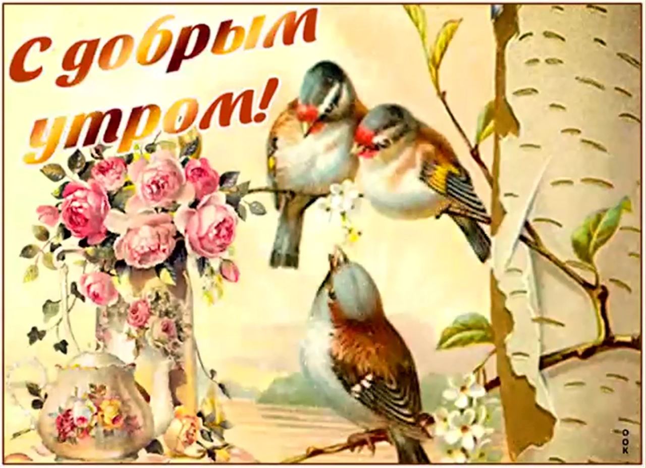 Картинки с добрым утром красивые с птицами. Старинные открытки с добрым утром. старинные открытки с добрым. открытки с добрым утром весенние. открытки с добрым утром винтажные весенние.