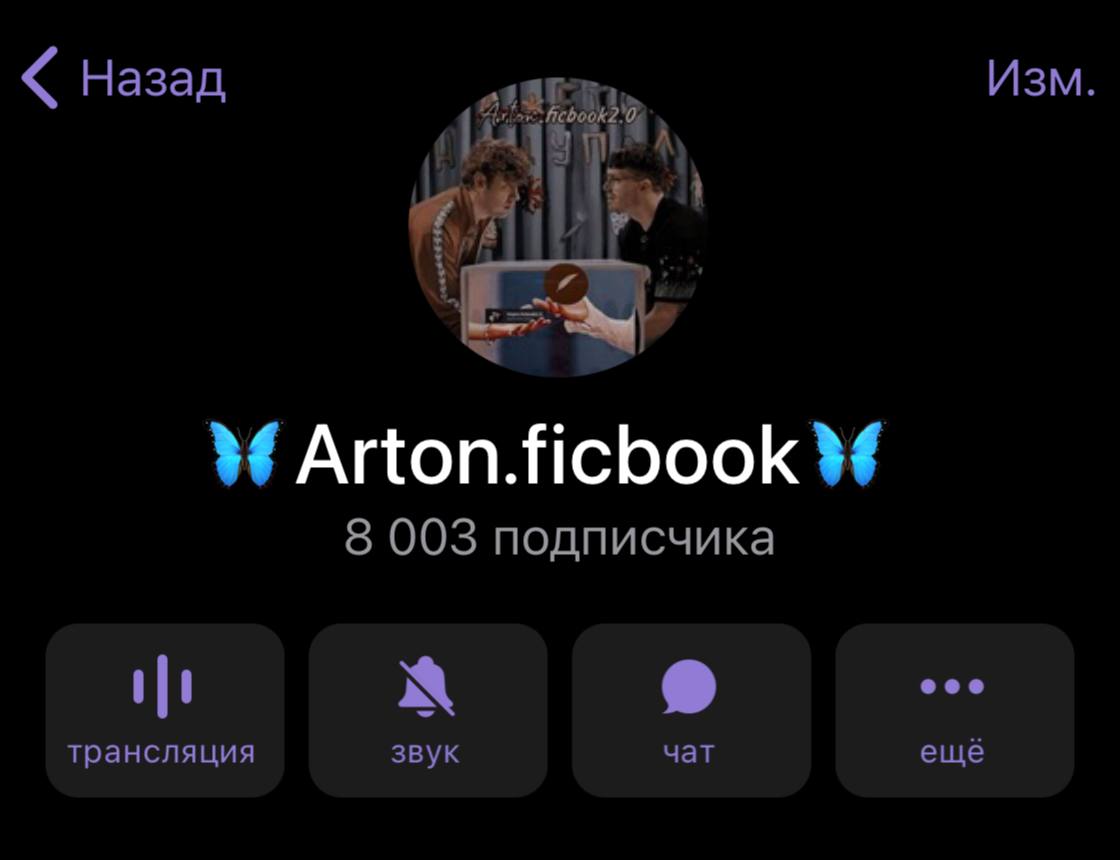 🦋Arton.ficbook🦋